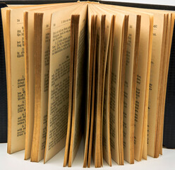 Open standing book with gilded edges. It's an antique book with German text. © Wolfborn Indiearts