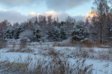 Winter outdoor landscape with lake, trees and show