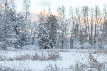 Winter outdoor landscape with lake, trees and show