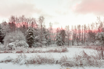 Winter outdoor landscape with lake, trees and show