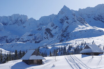 Fototapeta premium Zimowy pejzaż z Doliny Gąsienicowej w Tatrach 