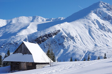 Zimowy pejzaż z Doliny Gąsienicowej w Tatrach  - obrazy, fototapety, plakaty