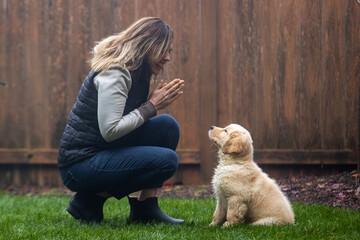 Woman obedience training with her golden retriever puppy dog to sit in backyard grass