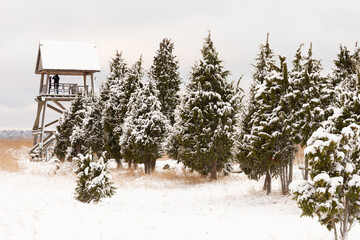 Wooden watchtower near from lake in cold and snowy winter