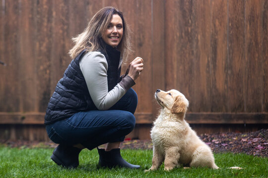 Woman obedience training with her golden retriever puppy dog to sit in backyard grass