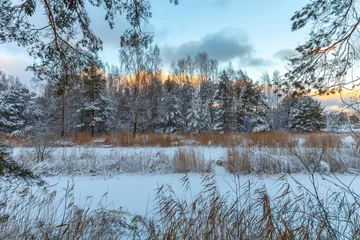 Foto auf Leinwand Winter outdoor landscape with lake, trees and show © Photo by ERIKS ROZE