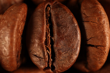 Coffee beans in closeup 
