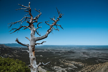 Mesa Verde National Park in Southern Colorado