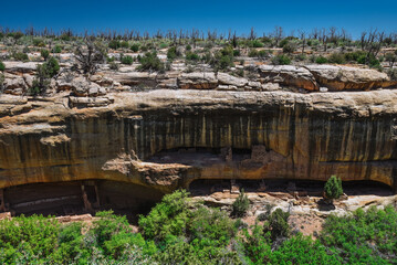 Fototapeta na wymiar Mesa Verde National Park in Southern Colorado