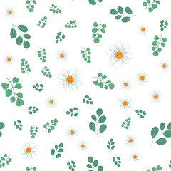 Chamomile  seamless pattern. White flowers with eucalyptus  leafs