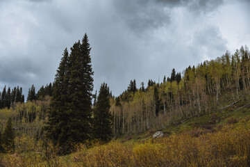 Hiking Castle Rock in the Rockies in Durango Colorado 