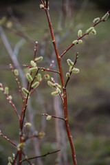 Hiking Castle Rock in the Rockies in Durango Colorado 