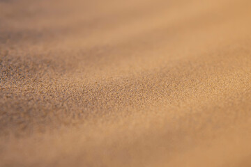 Fototapeta na wymiar Beige sand. Texture. 