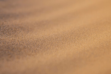 Beige sand. Texture. 