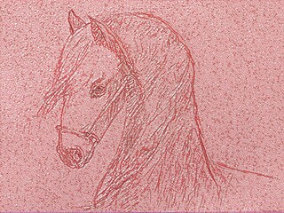 drawing, portrait of a horse close-up, fantasy