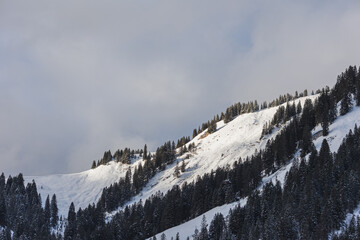 Winter Wonderland