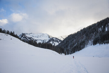 Obraz premium Winter Wonderland