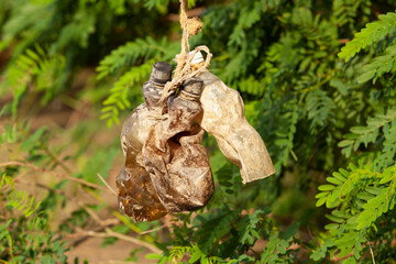 Dirty used disposable bottles are thrown away in nature, environmental pollution. Excessive use of plastic for packaging and drinks