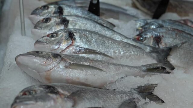 Various varieties of fish on the counter of the fish market