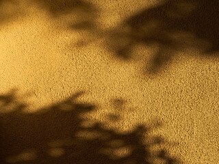 High and Low Tree Foliage Shadows on Plastered Wall