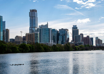 Austin skyline with ducks floating along Lady Bird Lake