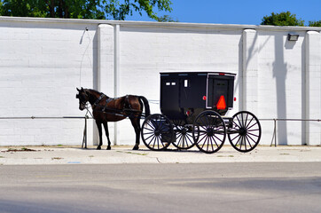 Fototapeta na wymiar An Amish horse-drawn carriage or buggy tied to a hitching rail awaits its owner outside a store just off a highway and main street in a small northeastern Indiana community. 