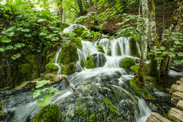 Fototapeta na wymiar Scenic water landscape at Plitvice Lakes National Park