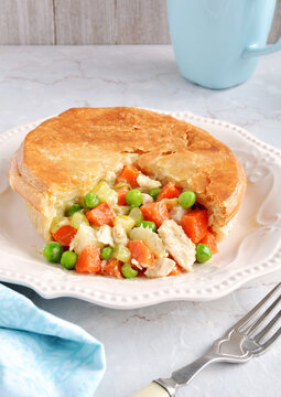 Chicken and veg pot pie