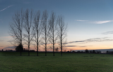 Fototapeta na wymiar View over trees and meadows at the Belgian countryside during sunset