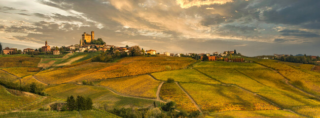 Landscape of Barolo wine, Langhe zone