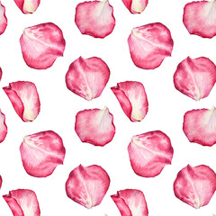 Seamless pattern watercolor pink white rose petal isolated on white background. Hand-drawn botanical flower for Valentine's day or 8 March spring. Happy women's day. Art for wedding celebration invite