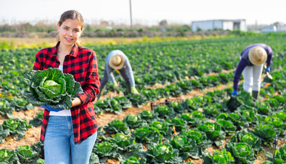 Portrait of cheerful young attractive woman posing with cabbage on a farm field