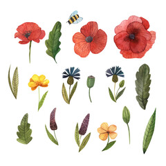 Spring flower set composition of red poppies, cornflowers and yellow flowers with a bee,suitable for postcards