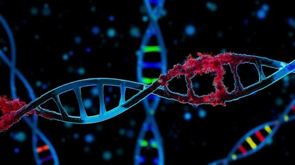 DNA Strand Disintegration in millions of red particles on blue dark Background, DNA spinning while the cell is disintegrating, virus infection spread - Powered by Adobe