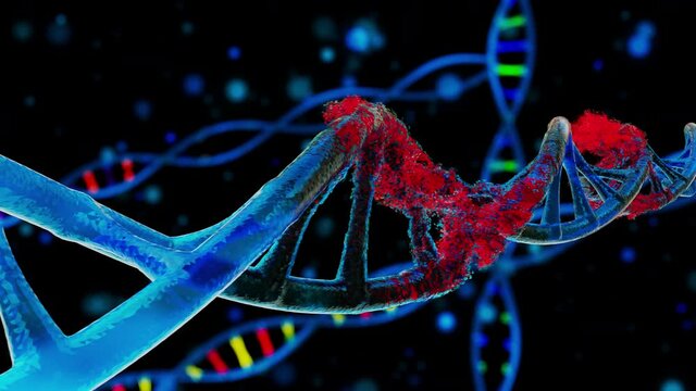 Close-up of disintegrating DNA Strand Animation on blue dark Background, DNA spinning while the cell is disintegrating, virus infection spread