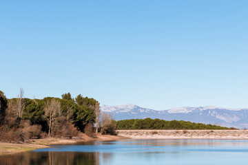 Lake with trees