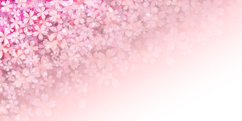 Obraz premium 桜 和柄 春 背景 