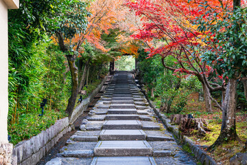 秋の京都　高台寺　台所坂