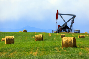 Oil Gas Petroleum Industry Pumpjack Alberta Canada - obrazy, fototapety, plakaty