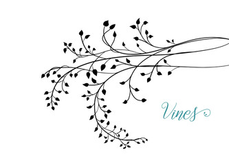 Ivy vine design vector, floral wedding design or nature illustration, elegant fancy border design of leaves in hand drawn sketch vector