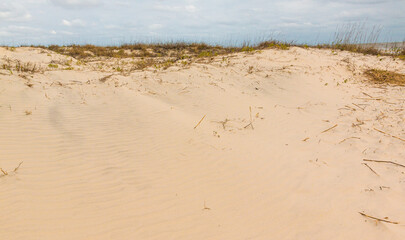 Sand Dunes On Great Dunes Beach,  Jekyll Island, Georgia, USA