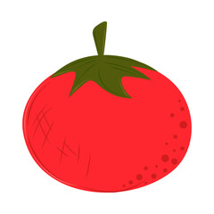 tomato fresh icon
