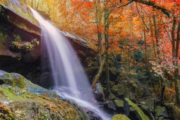 Fototapeta na wymiar Waterfall at Phu Kradueng national park, Loei Thailand, beautiful landscape of waterfalls in rainforest