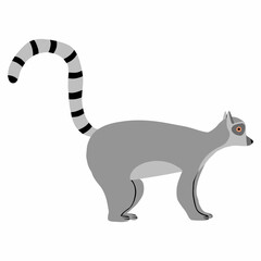 Childish illustration of lemur isolated on white background. Hand-drawn standing lemur in cartoon style.