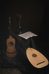 Basso continuo. Theorbo and baroque guitar.