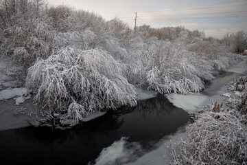 snow covered willow branches over partially frozen river in early winter in Latvia, electric pole with wires in distance. Beautiful snowscape