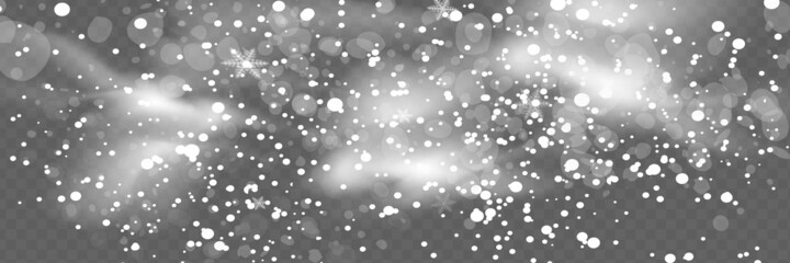 Vector snowfall isolated. Winter background. Snow overlay illustration. Snowflakes and ice.