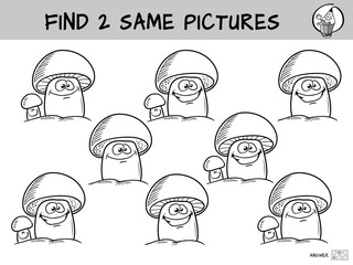 Mushrooms. Find two same pictures