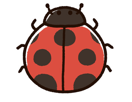 ナナホシテントウ虫 の画像 3 527 件の Stock 写真 ベクターおよびビデオ Adobe Stock