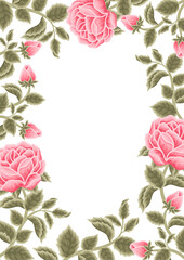 Vintage shabby chic pink rose flower frame background vector illustration arrangement